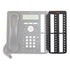 Up to 3 BM32 can be connected to an Avaya 1616/1616-I telephone